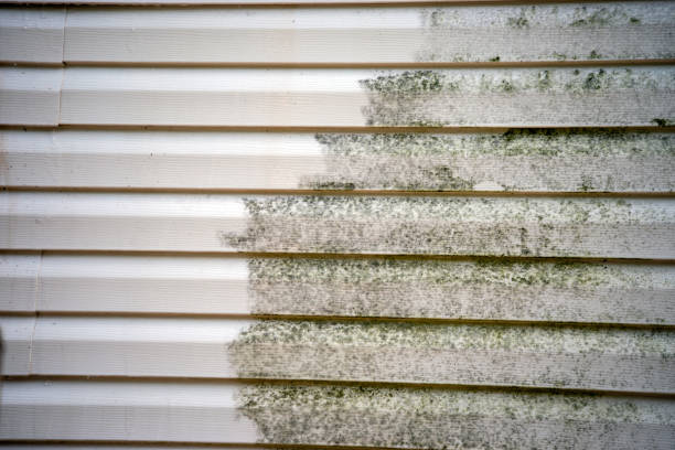 Historical Building Siding Restoration in Glenarden, MD